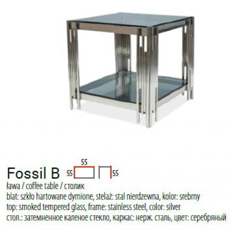 FOSSIL-B-1