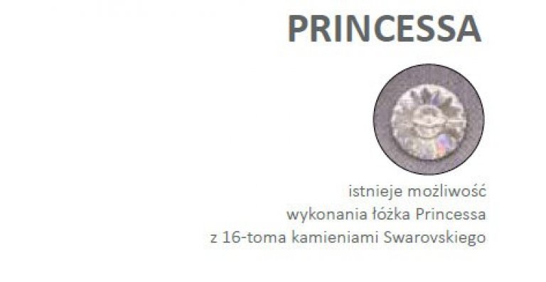 PRINCESSA-3-1